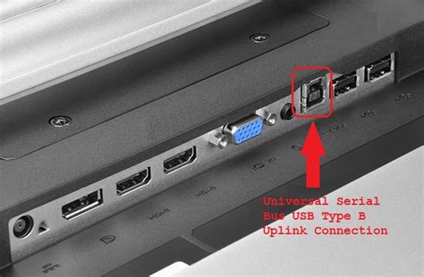 what are monitor usb ports for